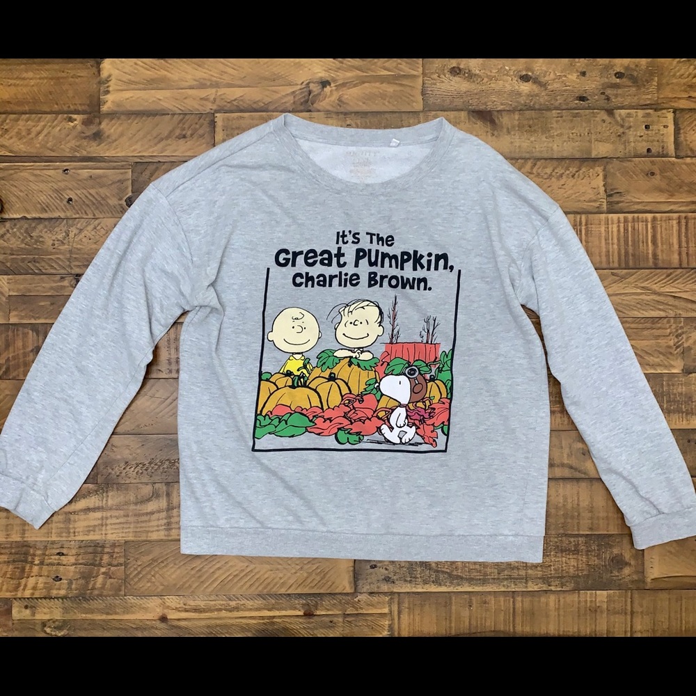 Charlie Brown Sweatshirt